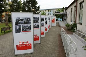 Przed Miejskim Ośrodkiem Kultury, Sportu i Rekreacji w Chełmku otwarto plenerową wystawę „Ojcowie Niepodległości”