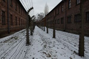 Uroczystości w 74. rocznicę wyzwolenia obozu Auschwitz-Birkenau