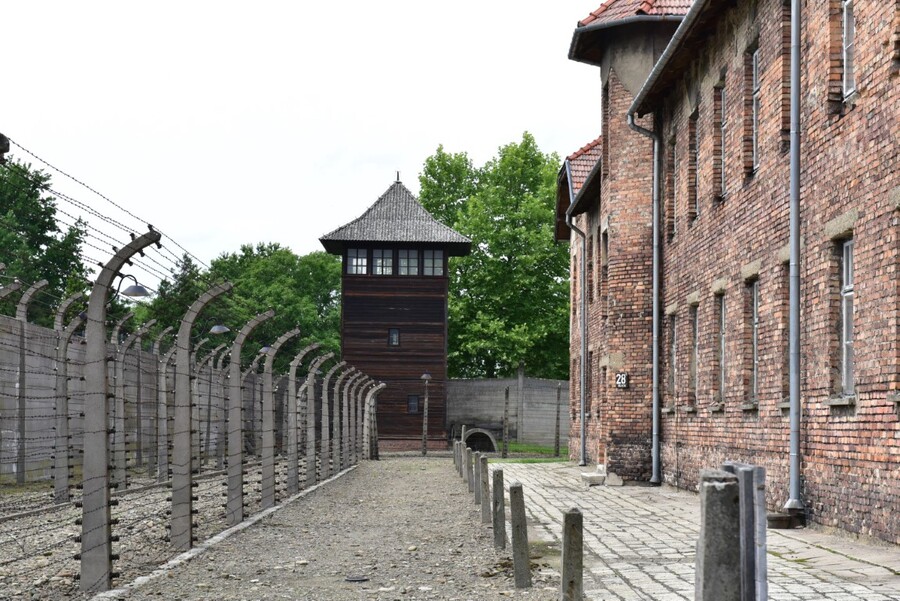 Uroczystości w Oświęcimiu. Fot. Żaneta Wierzgacz (IPN)