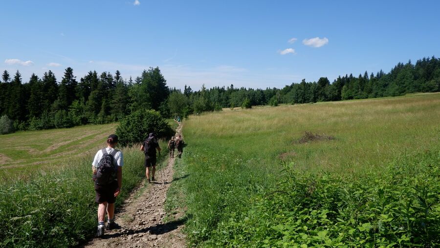 XIV Rajd Szlakami Żołnierzy 1. Pułku Strzelców Podhalańskich AK. Fot. IPN