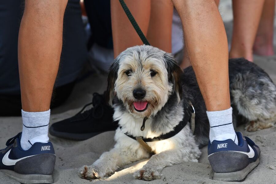 Przystanek Żywej Historii na Pustyni Błędowskiej. Fot. Filip Musiał (IPN)