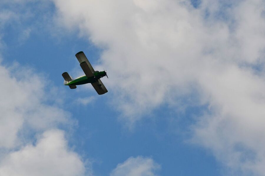Przystanek Żywej Historii na Pustyni Błędowskiej. Fot. Filip Musiał (IPN)