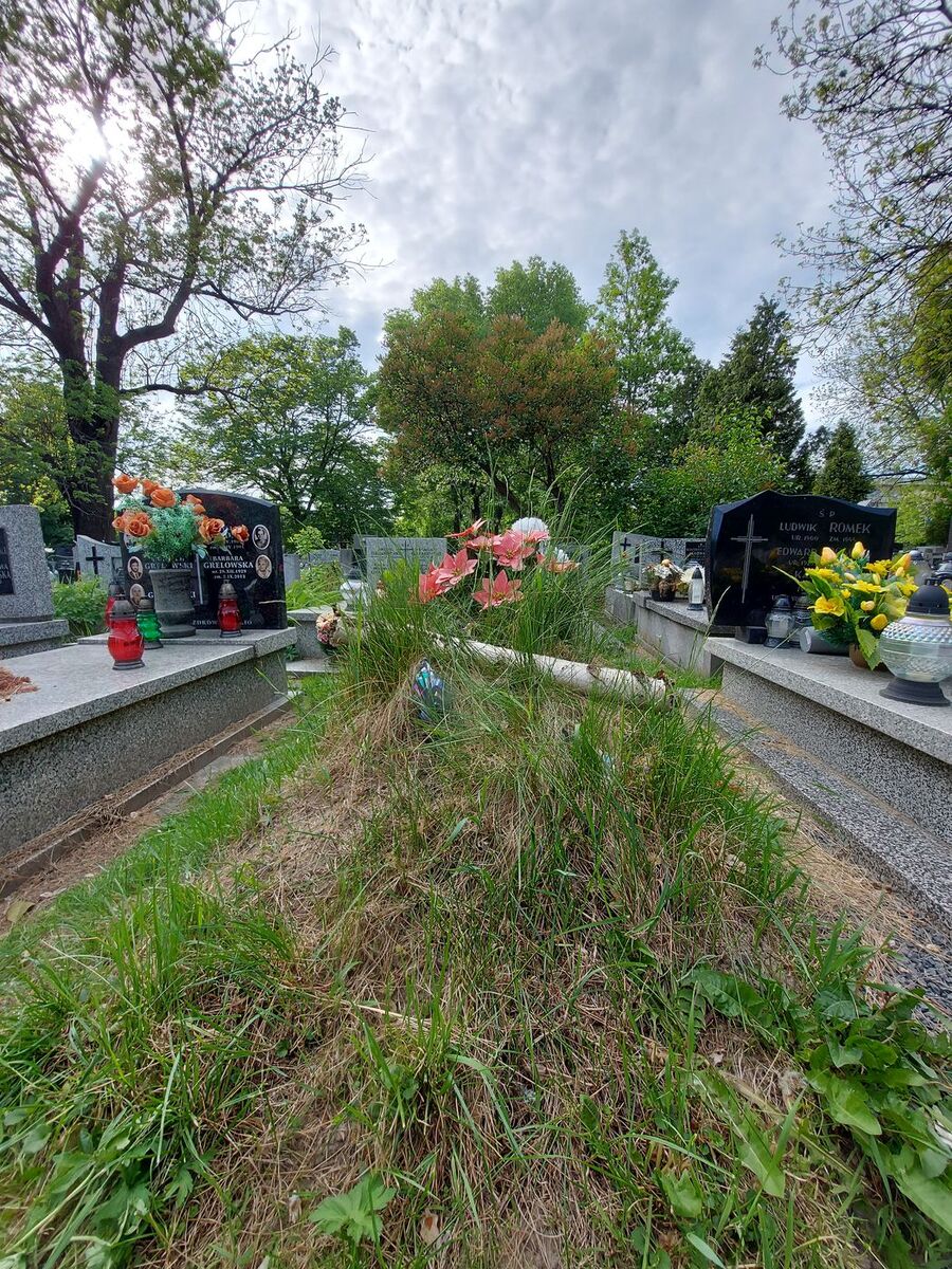 Grób Zbigniewa Stefana Michnowicza przed remontem. Fot. IPN