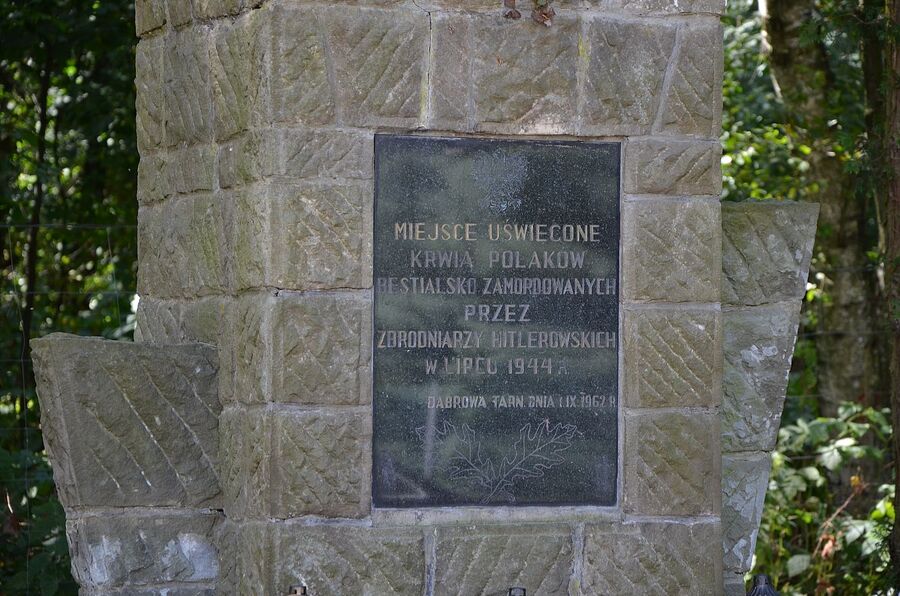 Uroczystości ku czci ofiary niemieckiej zbrodni w Danielniku. Fot. Janusz Ślęzak (IPN)