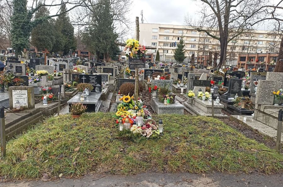 Mogiła przed remontem