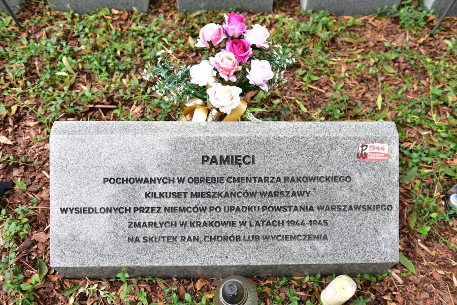 Poświęcenie nowych nagrobków na zbiorowej mogile uchodźców z Warszawy. Fot. Żaneta Wierzgacz (IPN)