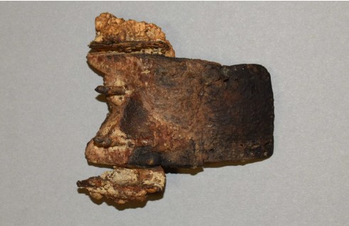 Klamra pasa Edwarda Szwejkowskiego