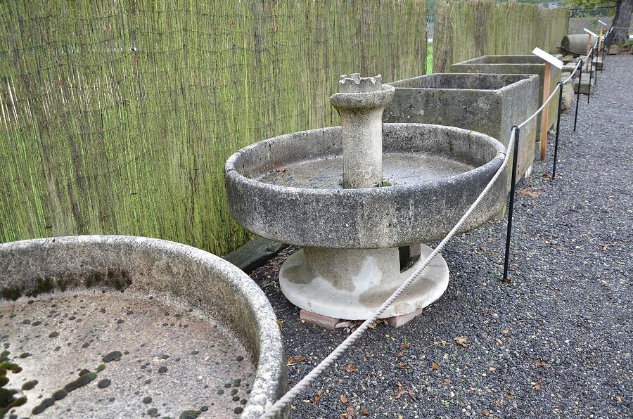 82. rocznica zamordowania więźniarek niemieckiego podobozu KL Auschwitz Bor/Budy. Fot. Janusz Ślęzak (IPN)