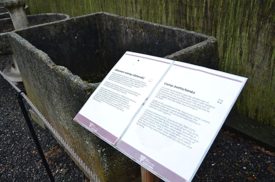 82. rocznica zamordowania więźniarek niemieckiego podobozu KL Auschwitz Bor/Budy. Fot. Janusz Ślęzak (IPN)