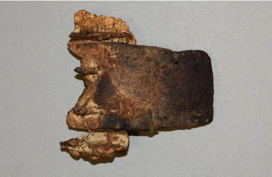 Fragmenty pasa i klamry znalezione przy szczątkach Edwarda Szwejkowskiego „Łotra”. Fot. Agnieszka Żydzik-Białek