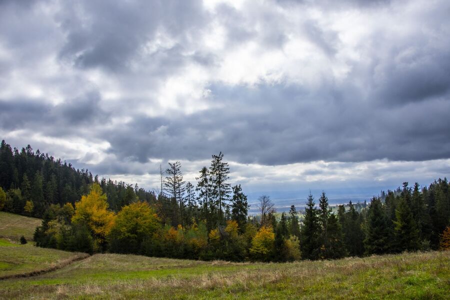 XIX Rajd Szlakami Żołnierzy Wyklętych mjr. Józefa Kurasia „Ognia”. Fot. Agnieszka Masłowska (IPN)