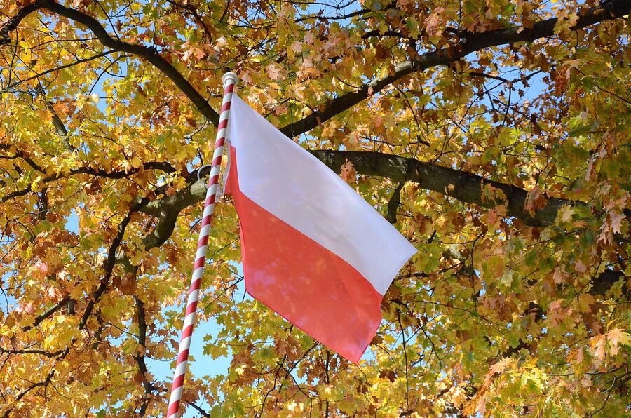 Zaduszki Witosowe w Wierzchosławicach. Fot. Janusz Ślęzak (IPN)