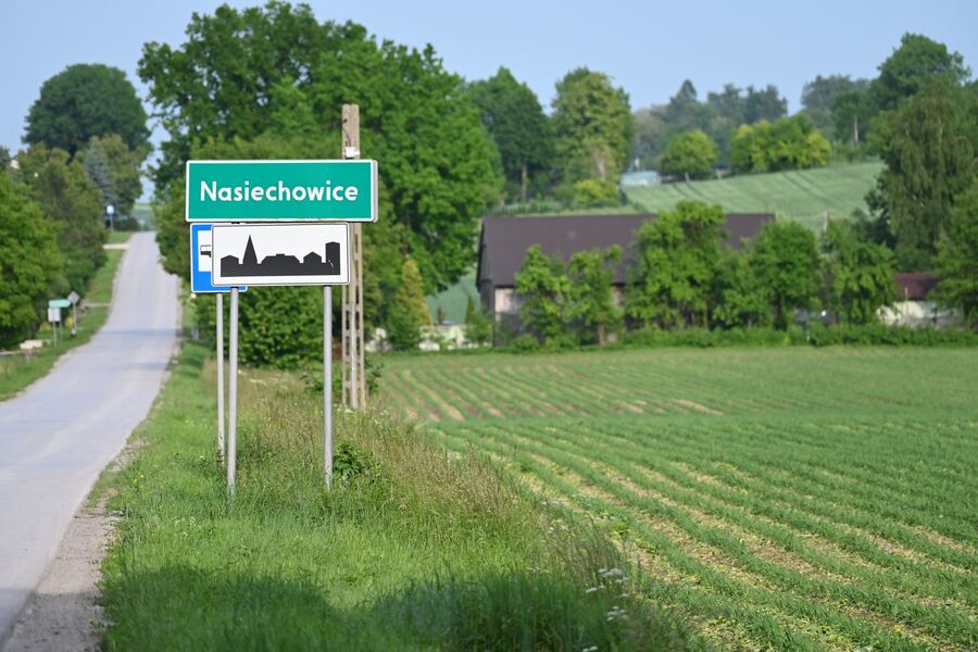 82. rocznica niemieckiej pacyfikacji Nasiechowic. Fot. Janusz Ślęzak (IPN)