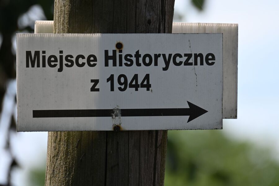 81. rocznica akcji specjalnej „Koppe”. Uroczystości w Udorzu. Fot. Janusz Ślęzak (IPN)