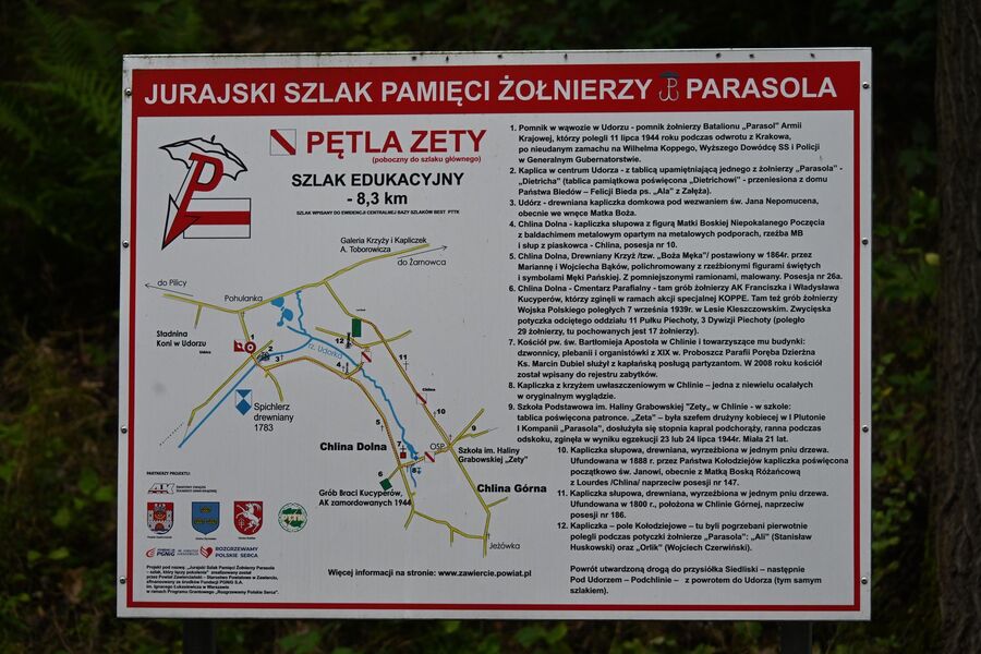 81. rocznica akcji specjalnej „Koppe”. Uroczystości w Udorzu. Fot. Janusz Ślęzak (IPN)