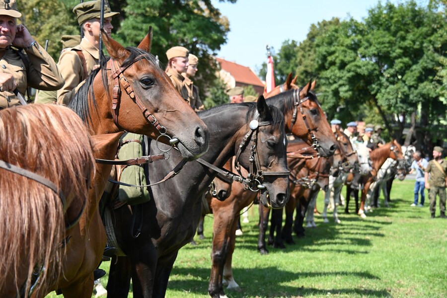 528466657_1078413381138135_6839514227397205255_n