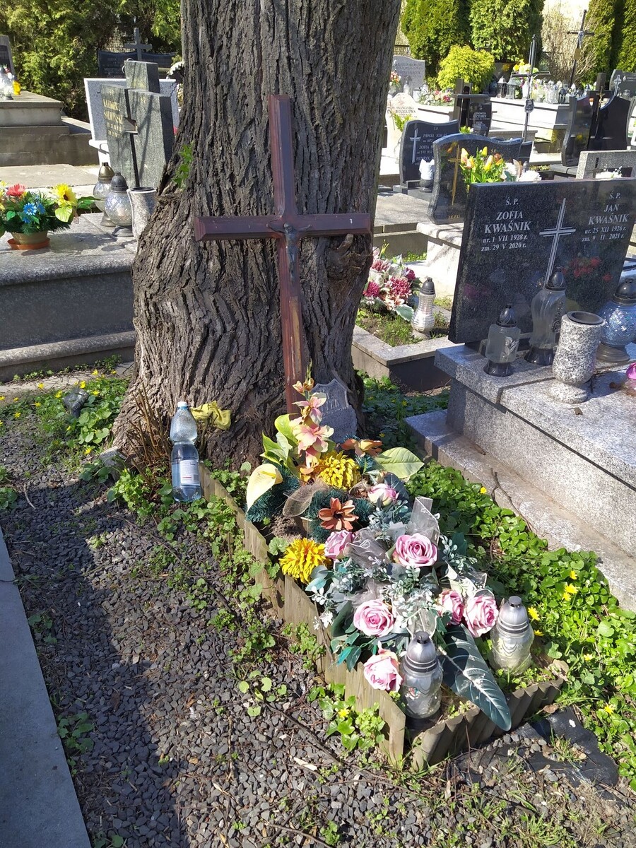 Grób przed remontem. Fot. IPN