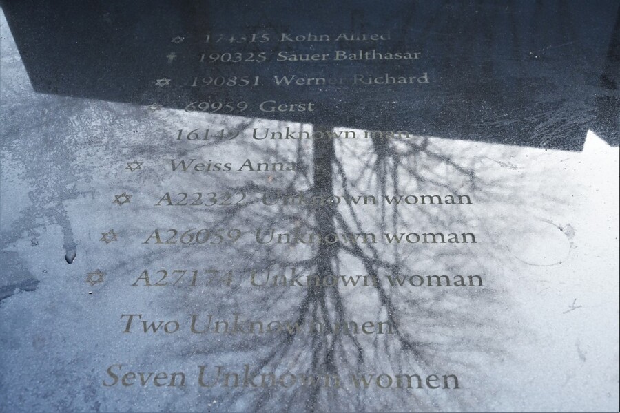 Uroczystość w 81. rocznicę marszu śmierci więźniów z KL Auschwitz. Fot. Żaneta Wierzgacz (IPN)