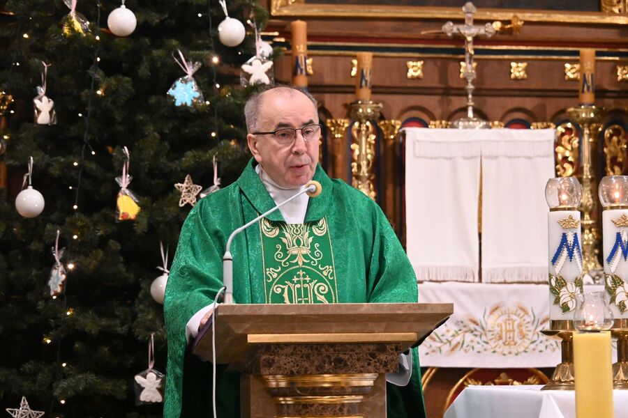 152. rocznica urodzin Wincentego Witosa. Uroczystości w Wierzchosławicach. Fot. Janusz Ślęzak (IPN)