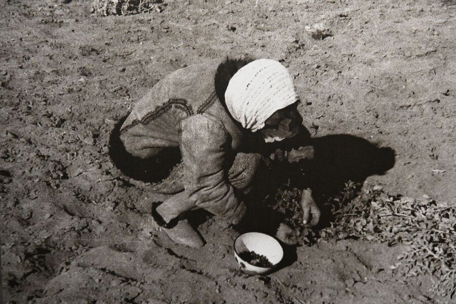 86. rocznica pierwszej deportacji Polaków w głąb ZSRS. Uroczystości w Krakowie. Fot. Janusz Ślęzak (IPN)