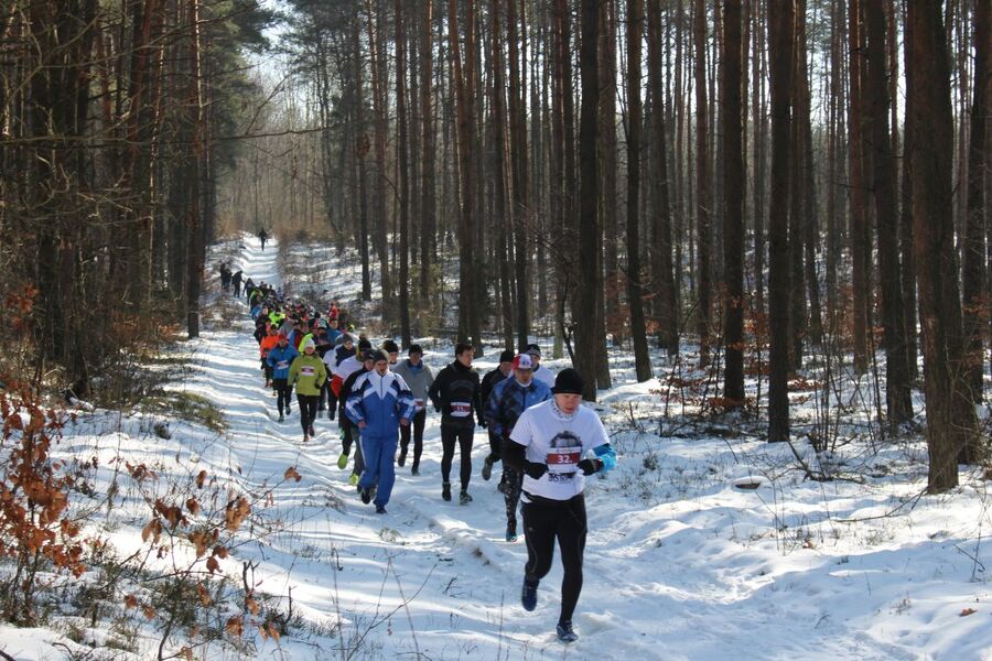 Olkuski Bieg Tropem Wilczym