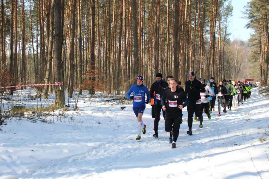 Olkuski Bieg Tropem Wilczym