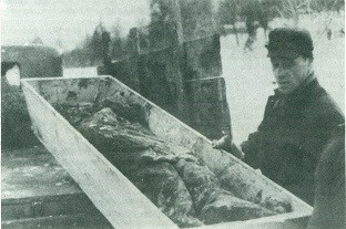 Transport zwłok ekshumowanych w lutym 1942 r. z więzienia NKWD Obwodu Lwowskiego nr 4 (Jachowicza) na cmentarz Łyczakowski.  (Zbiory OOŻAKOL im. Orląt Lwowskich w Krakowie)
