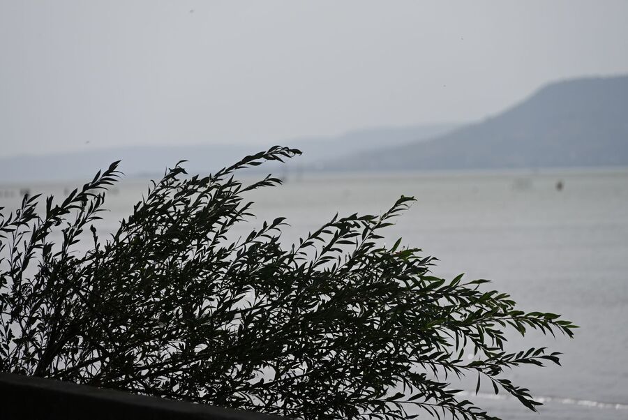 Ekipa krakowskiego oddziału IPN w Balatonboglár na Węgrzech. Fot. Janusz Ślęzak (IPN)