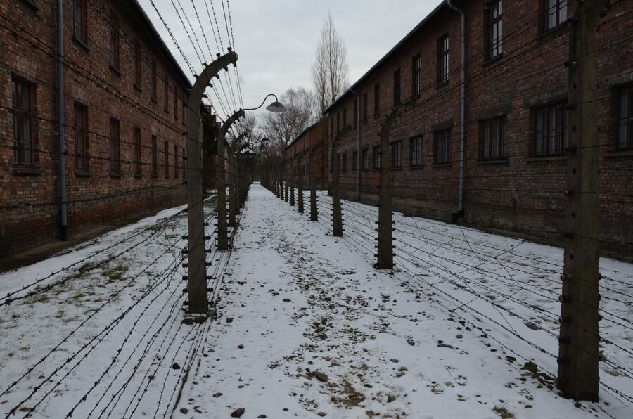 Uroczystości w 74. rocznicę wyzwolenia obozu Auschwitz-Birkenau