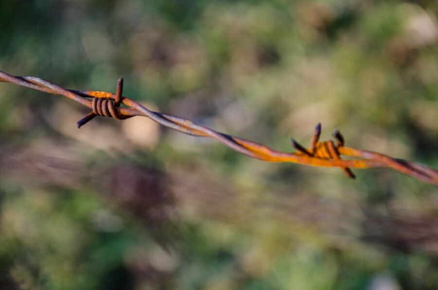 75. rocznica wyzwolenia niemieckiego nazistowskiego obozu Auschwitz-Birkenau, 27 stycznia 2020. Fot. Agnieszka Masłowska (IPN)