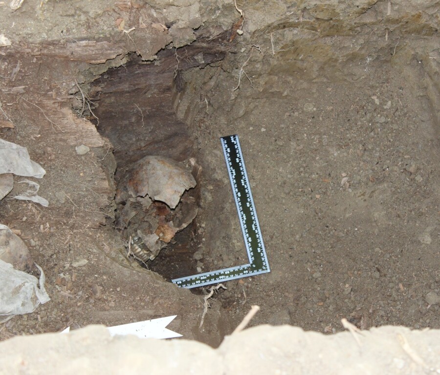 Ekshumacja Tarnów 01.09.2015