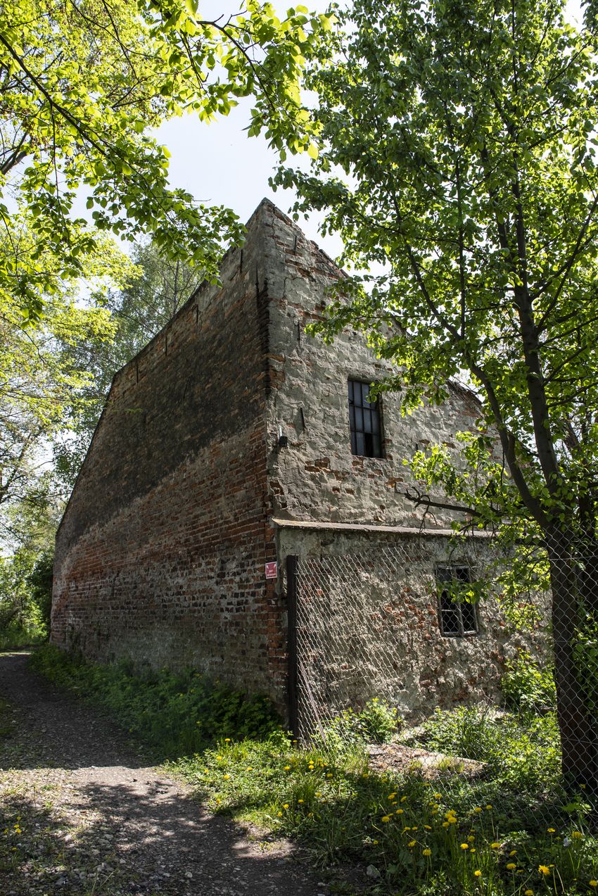 Krakowski IPN uczcił pamięć żołnierzy Zgrupowania AK „Żelbet” oraz cichociemnych, 8 maja 202. Fot. Agnieszka Masłowska (IPN)