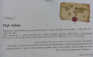 Park zamkowy w Krasiczynie z dębem zasadzonym w dniu urodzin Adama Stefana Sapiehy (obecnie)