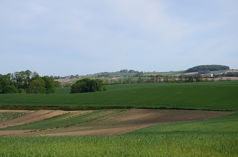 22 maja 2020. Złożenie kwiatów pod pomnikiem w Wierzbnie. Fot. Janusz Ślęzak (IPN)