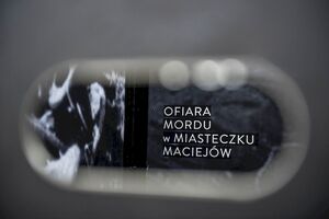 Wystawa „Wołyń 1943. Wołają z grobów, których nie ma” na Rynku Starego Sącza. Fot. Agnieszka Masłowska (IPN)