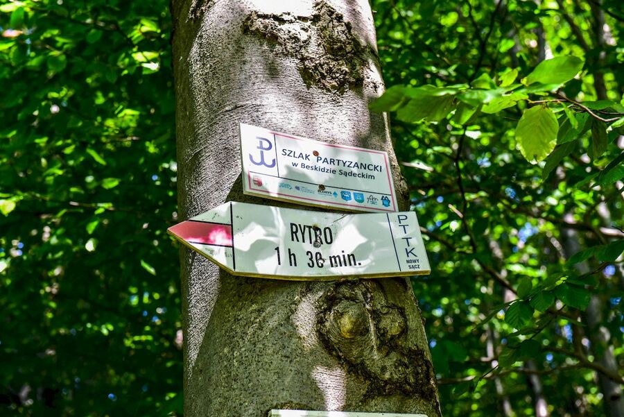 22.08.2020, poświęcenie krzyża partyzanckiego na Jaworzynie Kokuszczańskiej. Fot. Agnieszka Masłowska (IPN)