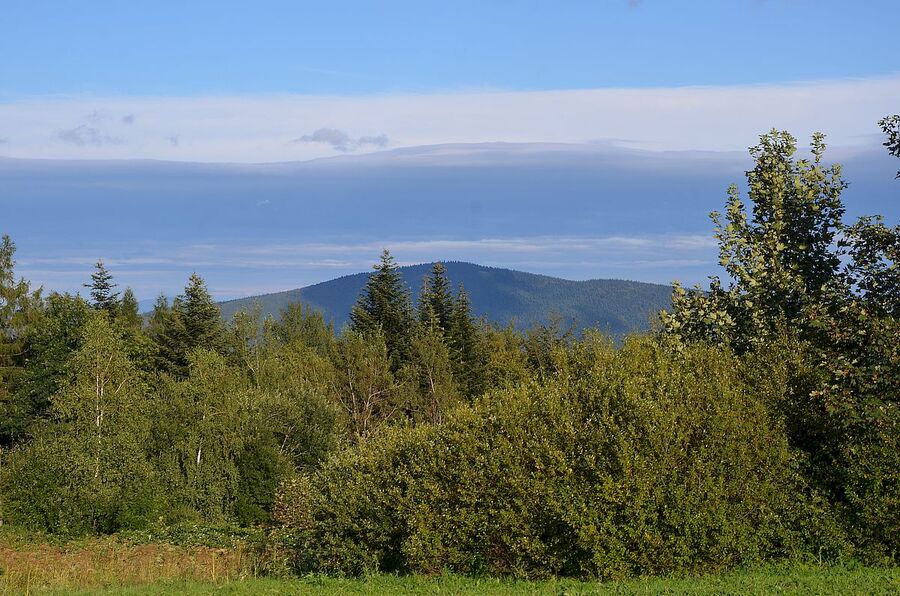 IX nocny marsz śladami gen. Nila. Fot. Janusz Ślęzak (IPN)