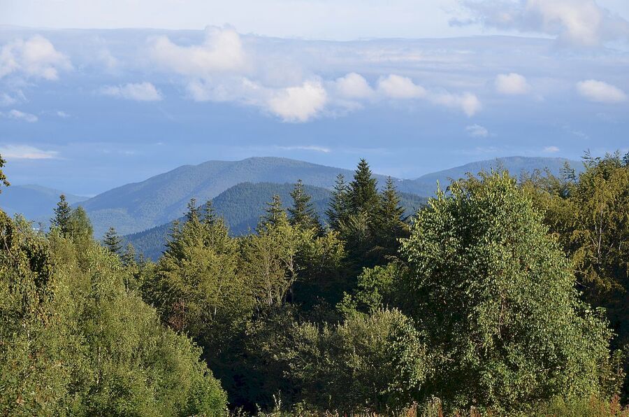 IX nocny marsz śladami gen. Nila. Fot. Janusz Ślęzak (IPN)