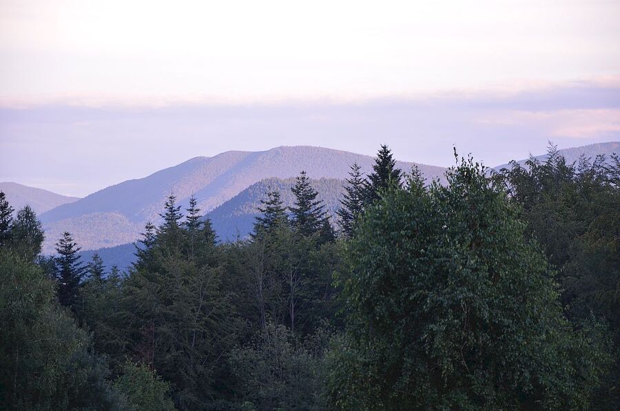 IX nocny marsz śladami gen. Nila. Fot. Janusz Ślęzak (IPN)