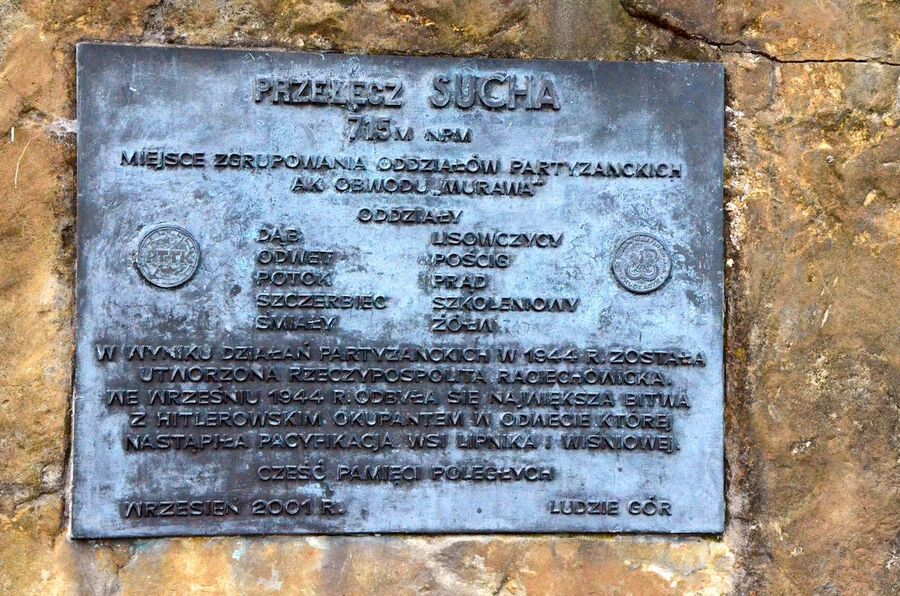 IX nocny marsz śladami gen. Nila. Fot. Janusz Ślęzak (IPN)