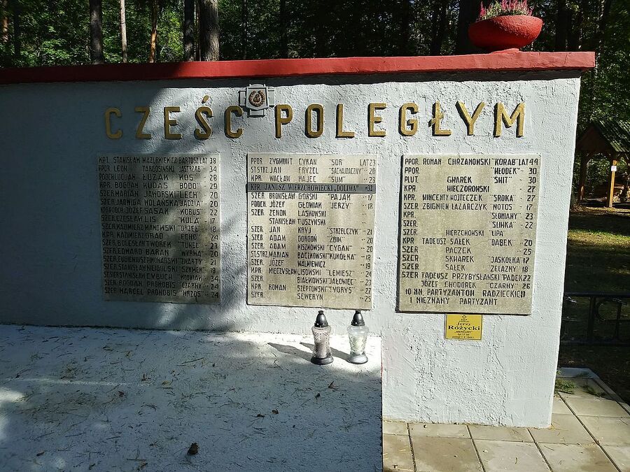 4.10.2020, uroczystości w 76. rocznicę bitwy na Piotrowym Polu. Fot. Marek Jedynak (IPN)