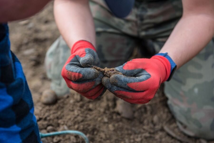 Prace poszukiwawcze nad Sołą w Oświęcimiu, październik 2020. Fot. Agnieszka Masłowska (IPN)