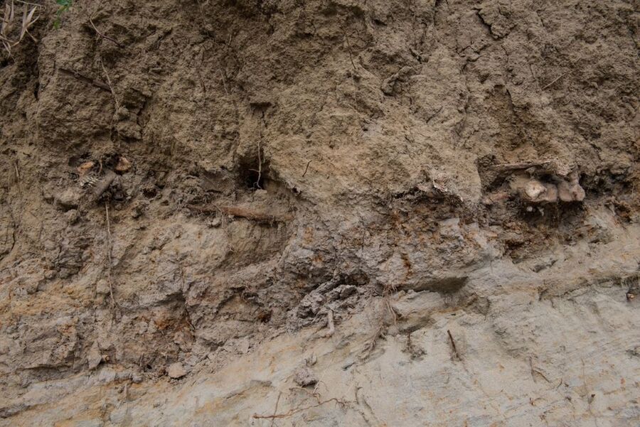 Prace poszukiwawcze nad Sołą w Oświęcimiu, październik 2020. Fot. Agnieszka Masłowska (IPN)