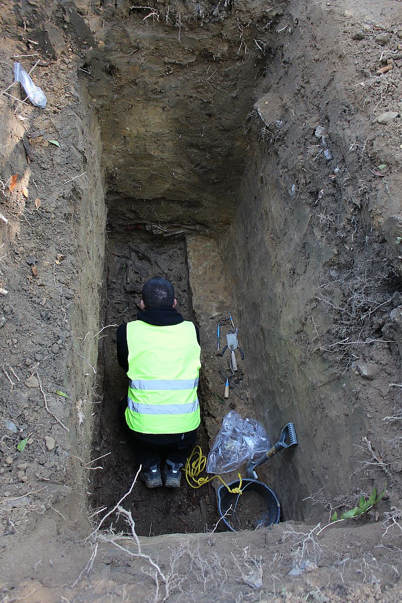 Prace poszukiwawcze na cmentarzu Rakowickim w Krakowie, październik 2020. Fot. IPN