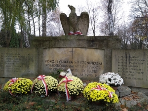 Chryzantemy na grobach bohaterów na cmentarzu Rakowickim. Fot. IPN