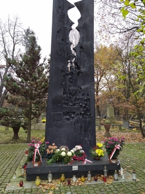 Chryzantemy na grobach bohaterów na cmentarzu Rakowickim. Fot. IPN