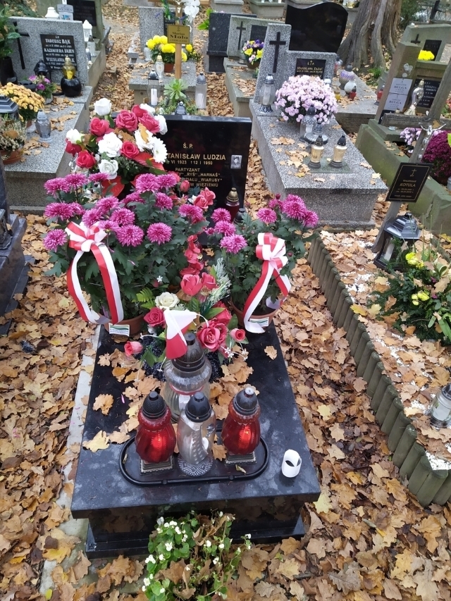 Chryzantemy na grobach bohaterów na cmentarzu Rakowickim. Fot. IPN