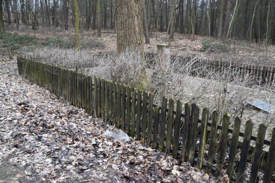 Wolbrom. Mogiła ofiar Holokaustu przed remontem