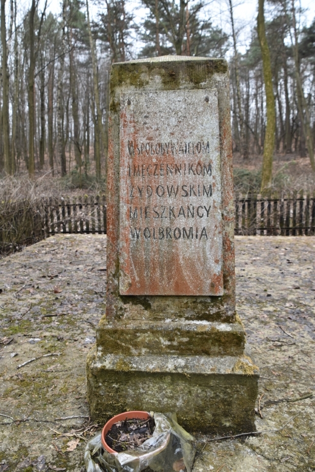 Wolbrom. Mogiła ofiar Holokaustu przed remontem