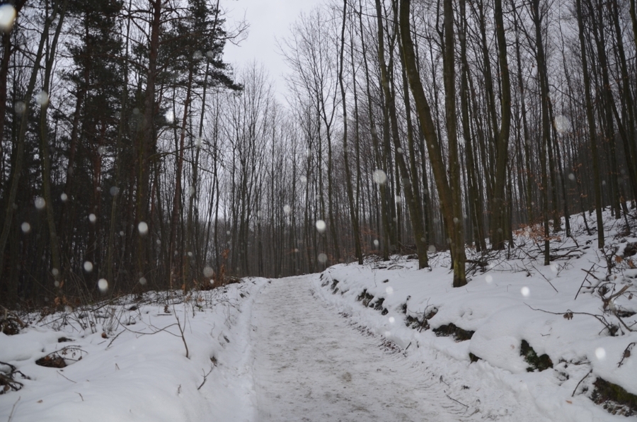 25.01.2021. Uroczystość na odnowionym cmentarzu ofiar Holokaustu w Wolbromiu. Fot. Janusz Ślęzak (IPN)